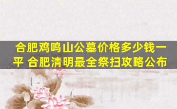 合肥鸡鸣山公墓价格多少钱一平 合肥清明最全祭扫攻略公布